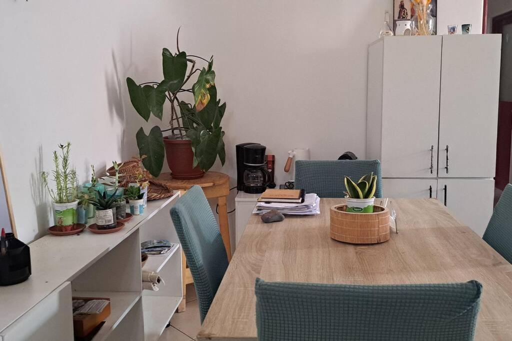 Mendes Family Homestay - B&B In The Heart Of Praia Exteriör bild