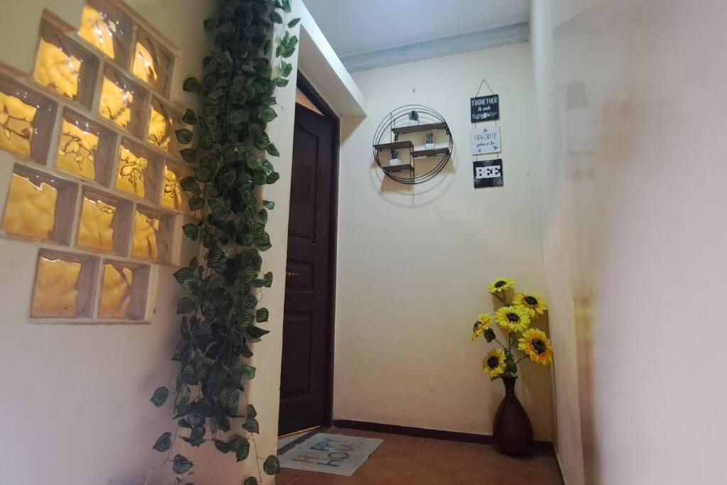 Mendes Family Homestay - B&B In The Heart Of Praia Exteriör bild