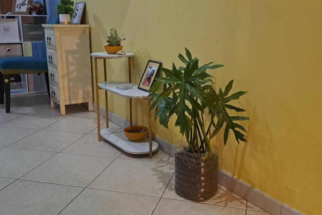 Mendes Family Homestay - B&B In The Heart Of Praia Exteriör bild