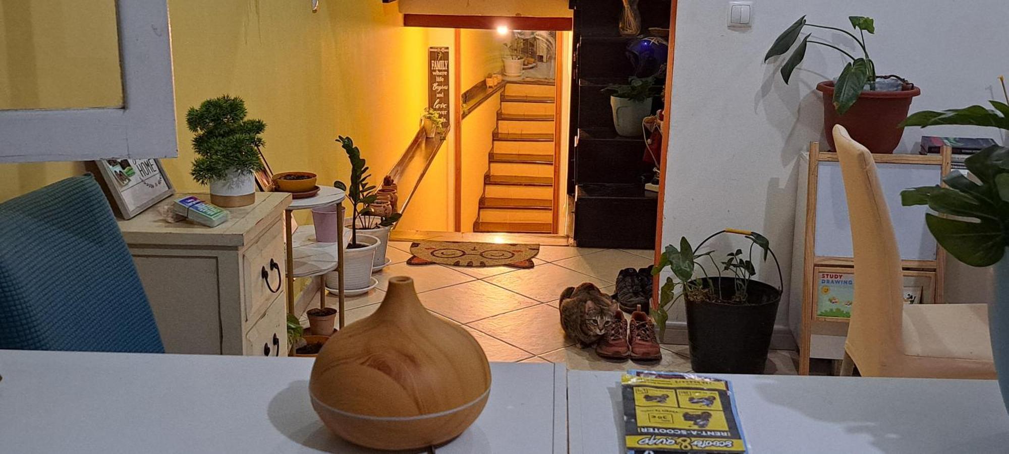 Mendes Family Homestay - B&B In The Heart Of Praia Exteriör bild